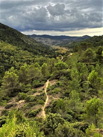 Fontiès d'Aude